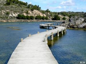 Chemin de planches (étang du Doul)