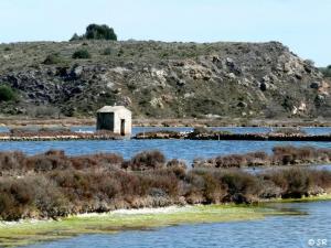 Saline de Peyriac