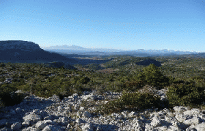 Vue randonnée serra de Vingrau