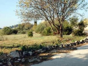 Sur le chemin à Leucate