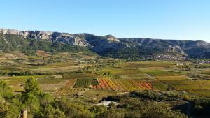 Vue depuis le Bousquet. Au fond, secteur Saint-Martin.